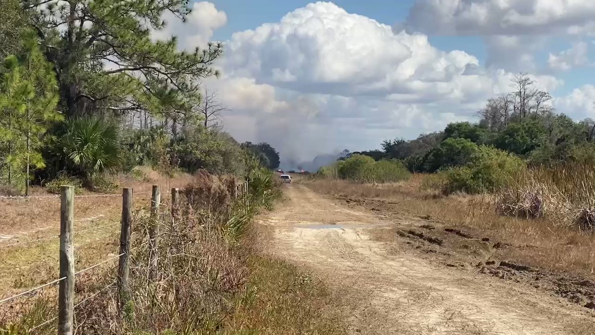 The fire is primarily in the Hickey Creek  Preserve