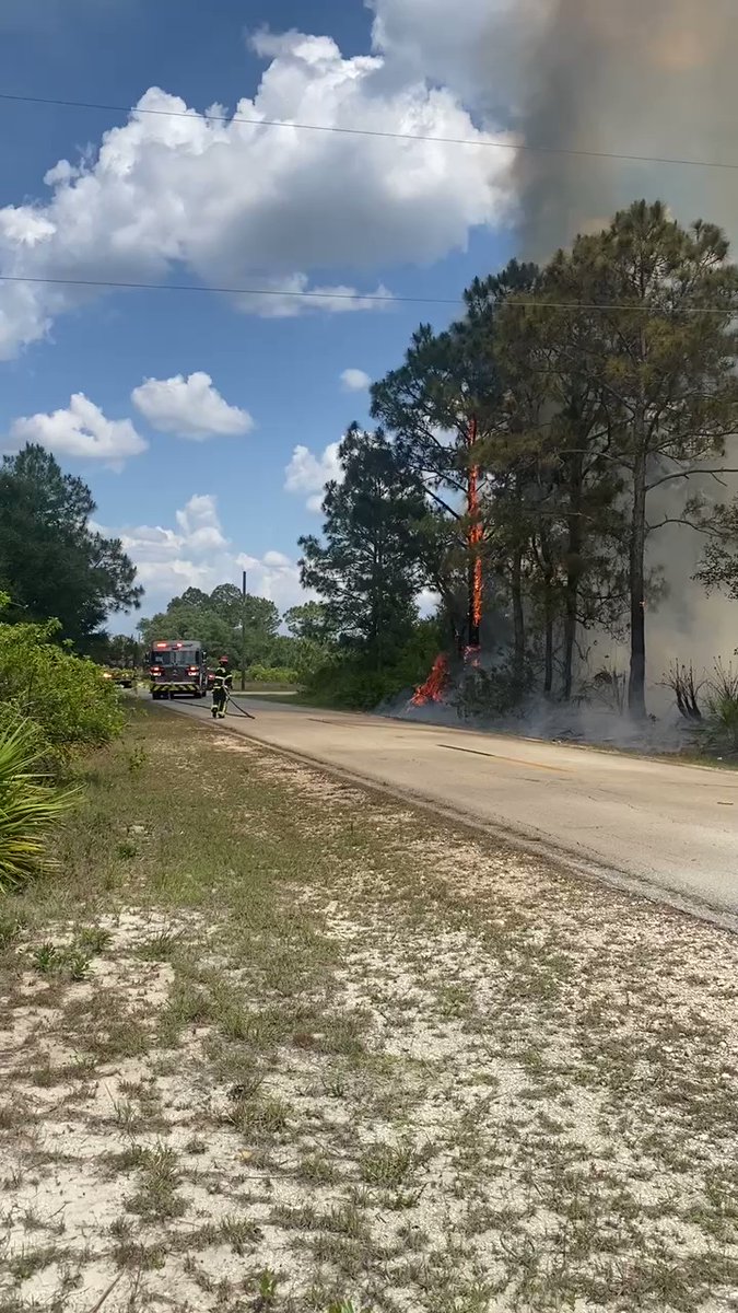 Fire: Brush fire ; 14th St /Pine Ave Approx 1 acre. Currently no homes are threatened