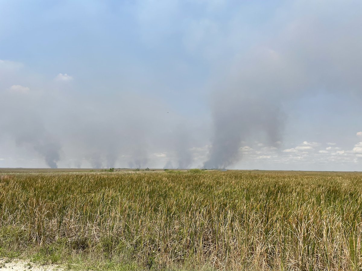 Brushfires by the Broward County/Palm Beach County Line right now. Coral Springs for the 12pm show, airborne crew are assessing the acreage burned and containment