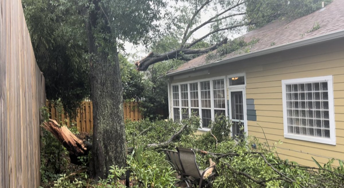 2 neighbors who had very scary experiences regarding last night's storm. One of them a had a tree come right through their roof