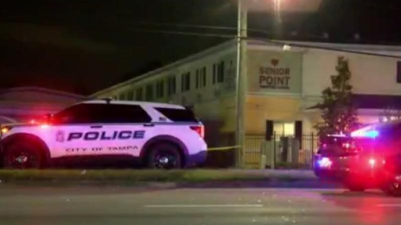 Vehicle struck, killed pedestrian on Hillsborough Ave. in Tampa