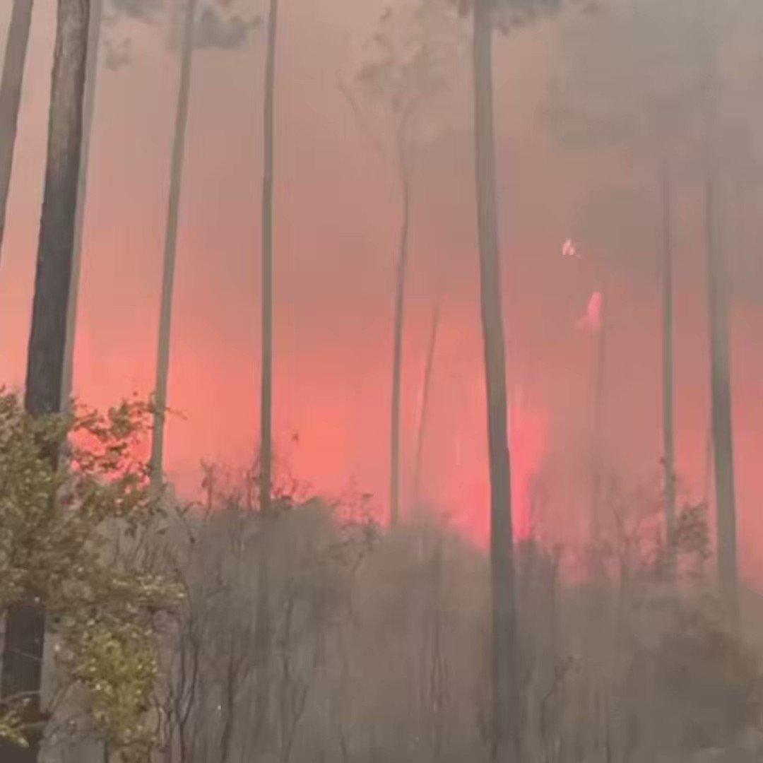 Multiple large wildfires are burning in Florida. nnThe Photo is the Sandy Fire in the Big Cypress National Preserve. Currently over 11,000 acres and 20% contained.  nnThe footage is from the wildfire burning in the wilderness area of the Ocala National Forest.