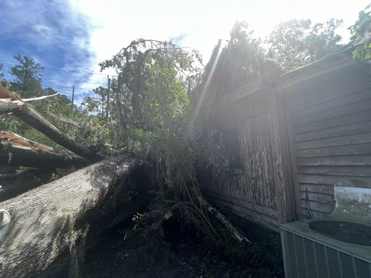 This  tree fell on a house on Lem Turner Road in Callahan, severely damaging the right side of the house. Thankfully the people who live here were not hurt. They said they are grateful to be alive. This happened around 9:30 p.m. yesterday