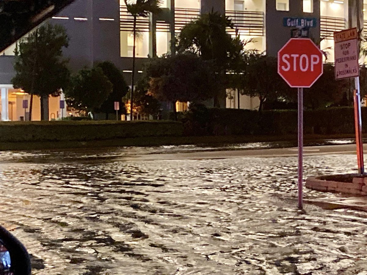 Hurricane Idalia impacts on the Tampa Bay area