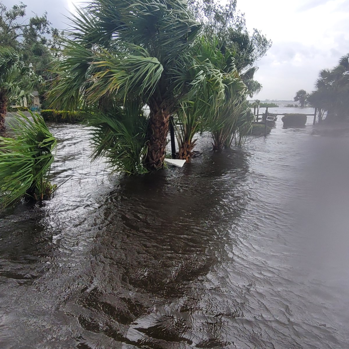 Pretty significant flooding in Charlotte Harbor this morning from the rising tide and 2-4 ft. of storm surge