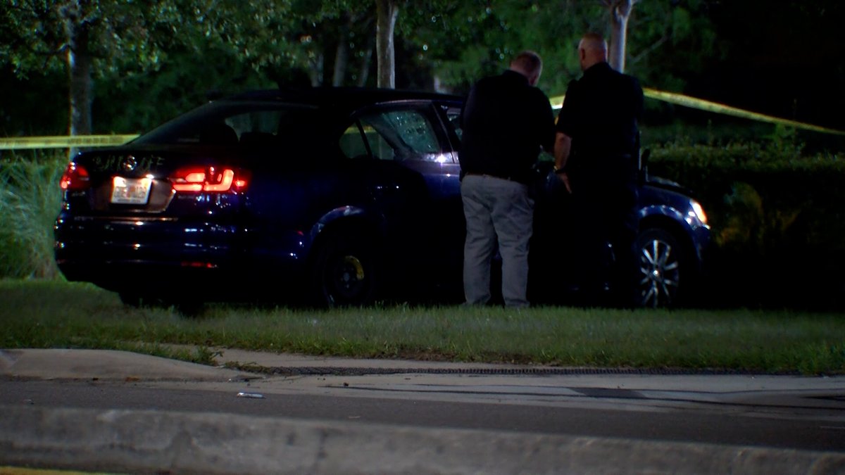 Pedestrian killed in crash on Busch Boulevard in Tampa