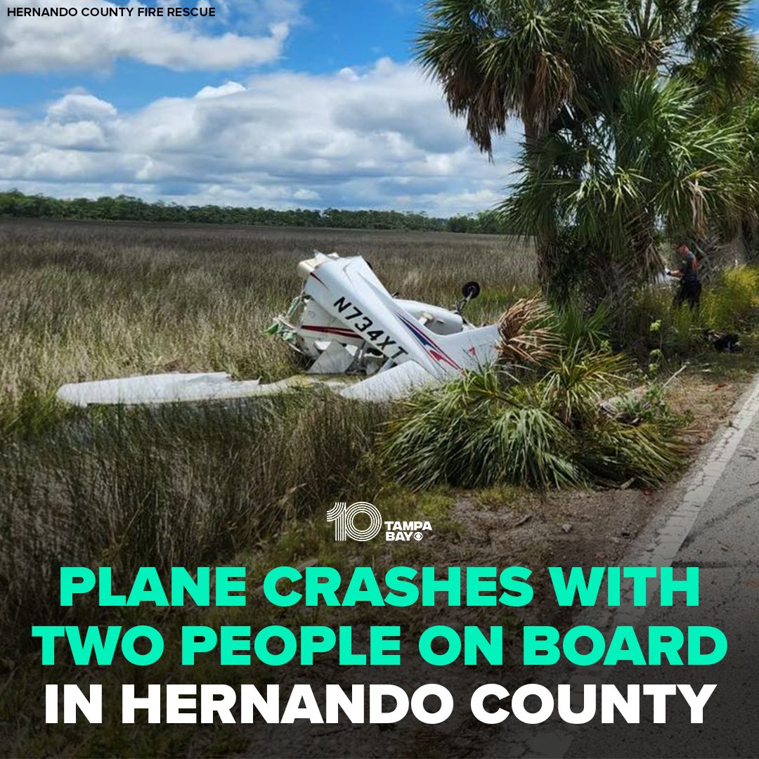 The plane lost power and as it was landing, it struck a palm tree, nearly severing it in half, fire officials say