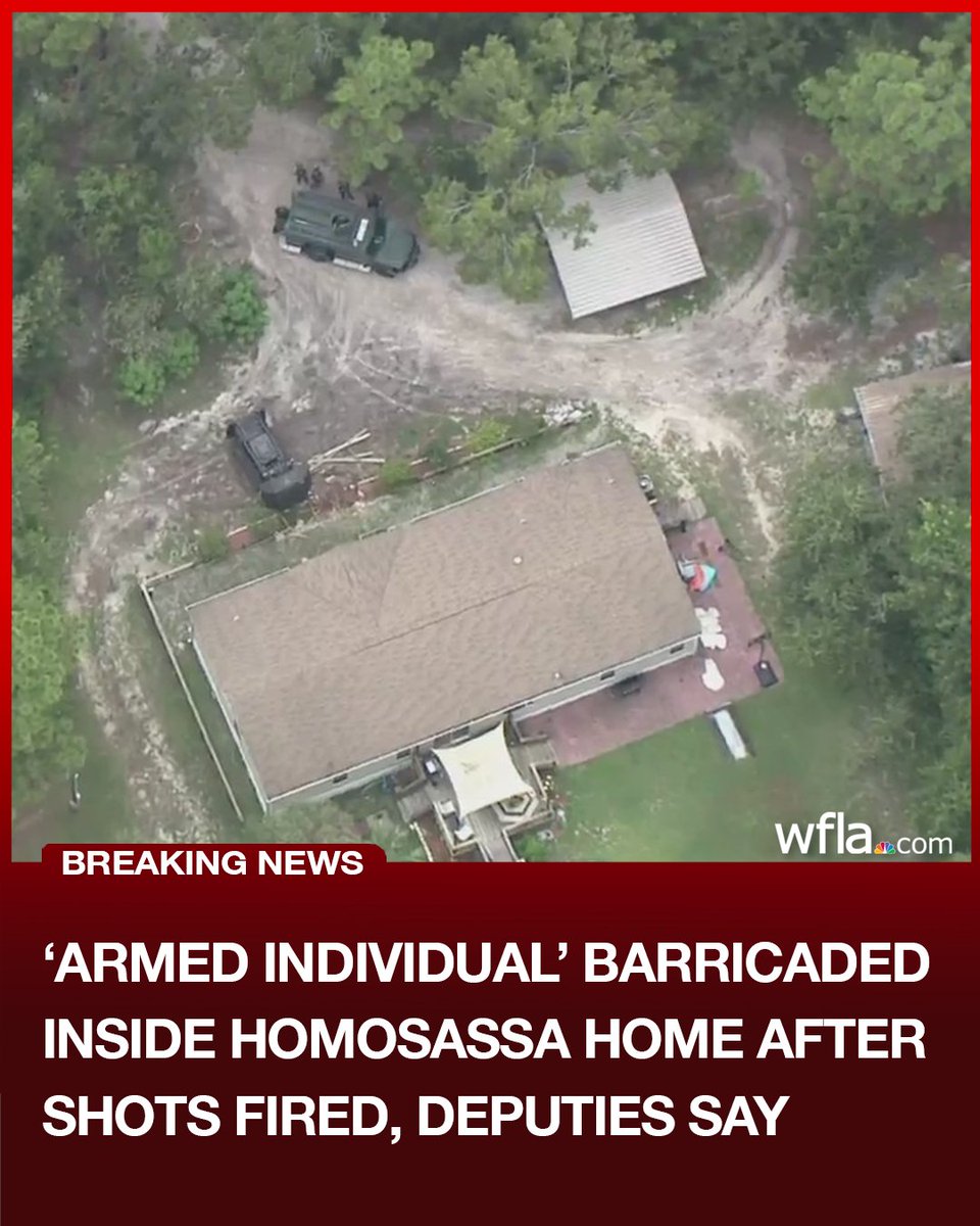 A person is barricaded inside of a home in Homosassa after law enforcement responded to a reported domestic disturbance involving gunfire
