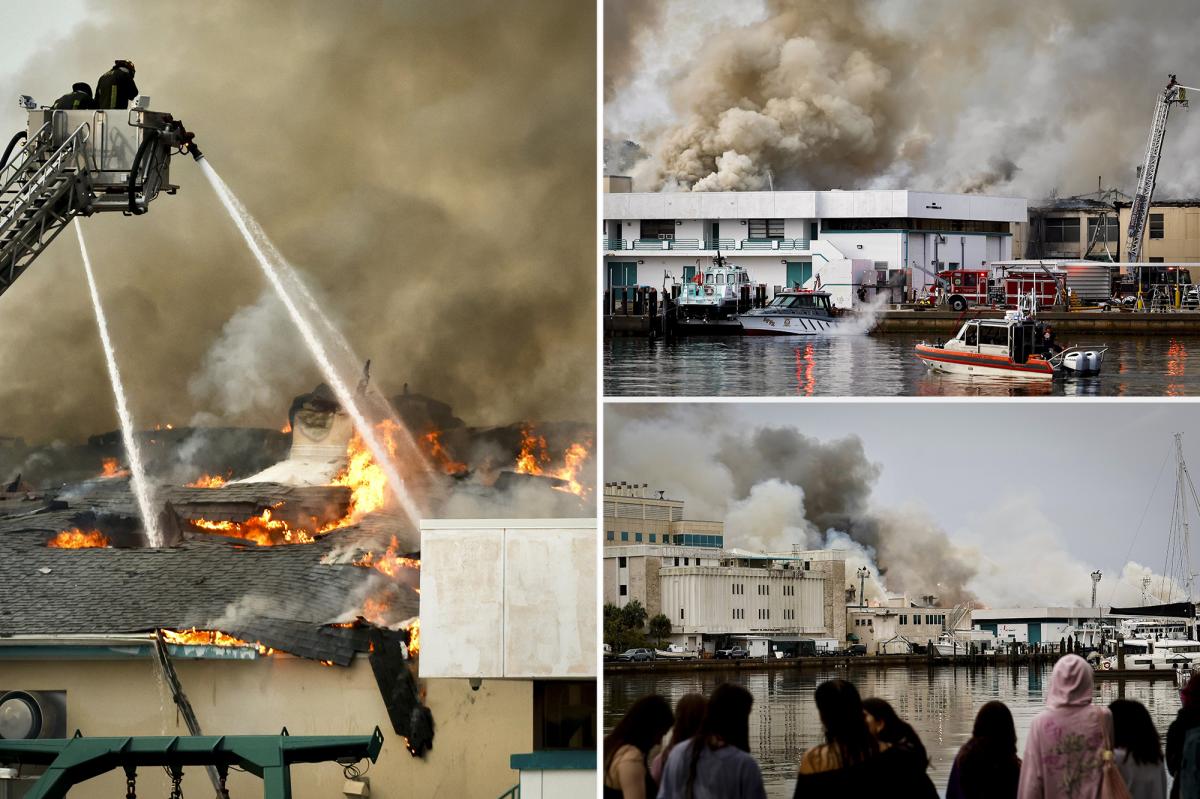 Massive fire engulfs science lab at University of South Florida St. Petersburg: 'Total devastation'